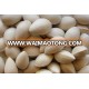 High Quality Ginkgo Nuts