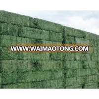 Buy Quality Alfalfa Hay at Good Prices