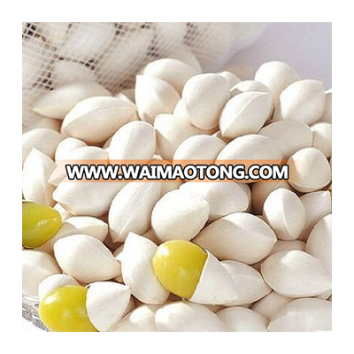 High QUality Fresh Ginkgo nut /Peeled Ginkgo Nuts